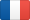 French flag