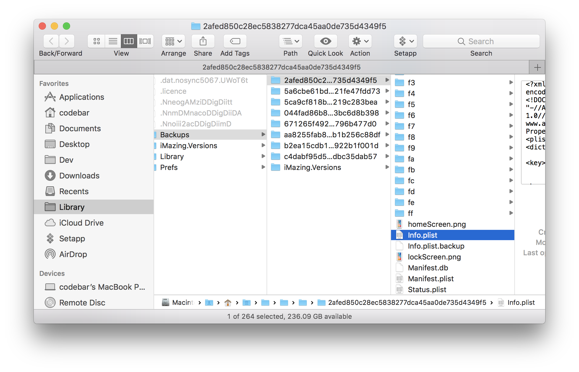 iOS backup Info.plist file